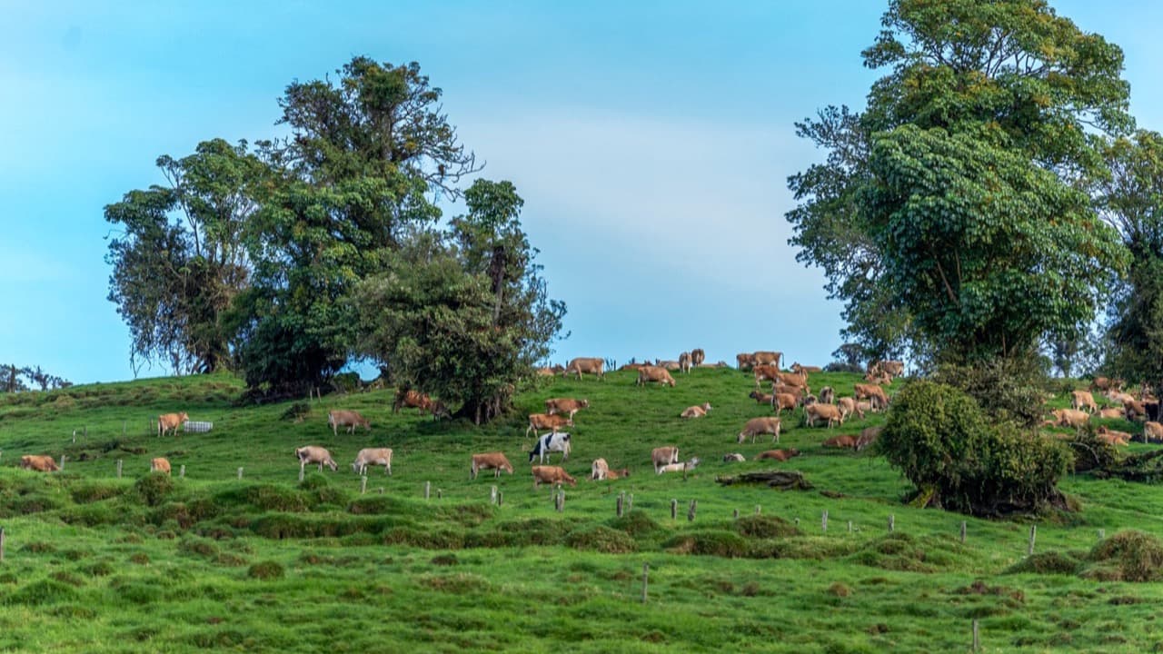 Imagem da notícia: EXPOMOR 2026 dedica colóquio às mulheres agricultoras