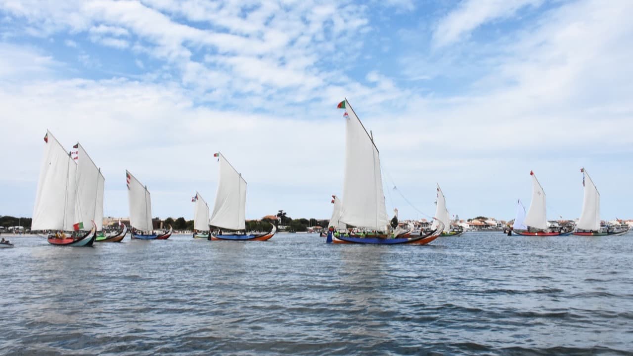 Imagem do evento: Regata de Barcos Moliceiros | Romaria de São Paio da Torreira 2026