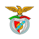 Emblema do Sport Nisa e Benfica