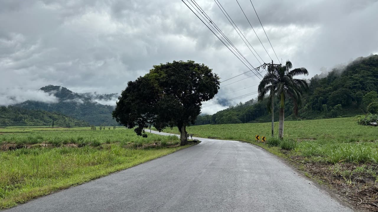 Imagem da notícia: Novo serviço expresso liga o Nordeste a Ponta Delgada a partir de setembro