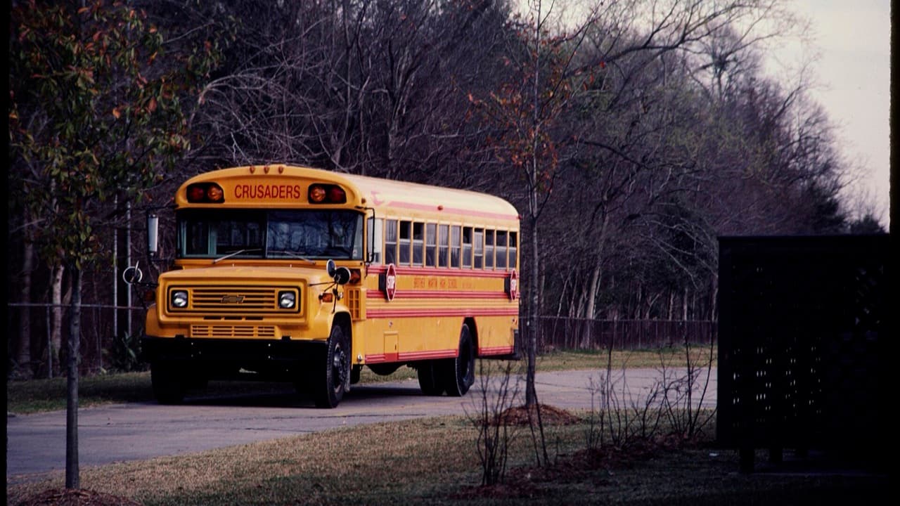 Imagem da notícia: Alenquer abre concurso internacional para o transporte escolar de 2026/2027
