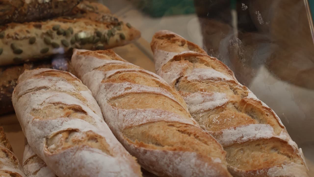 Imagem da notícia: Núcleo Museológico de Favaios – Pão e Vinho reabriu depois das obras de requalificação