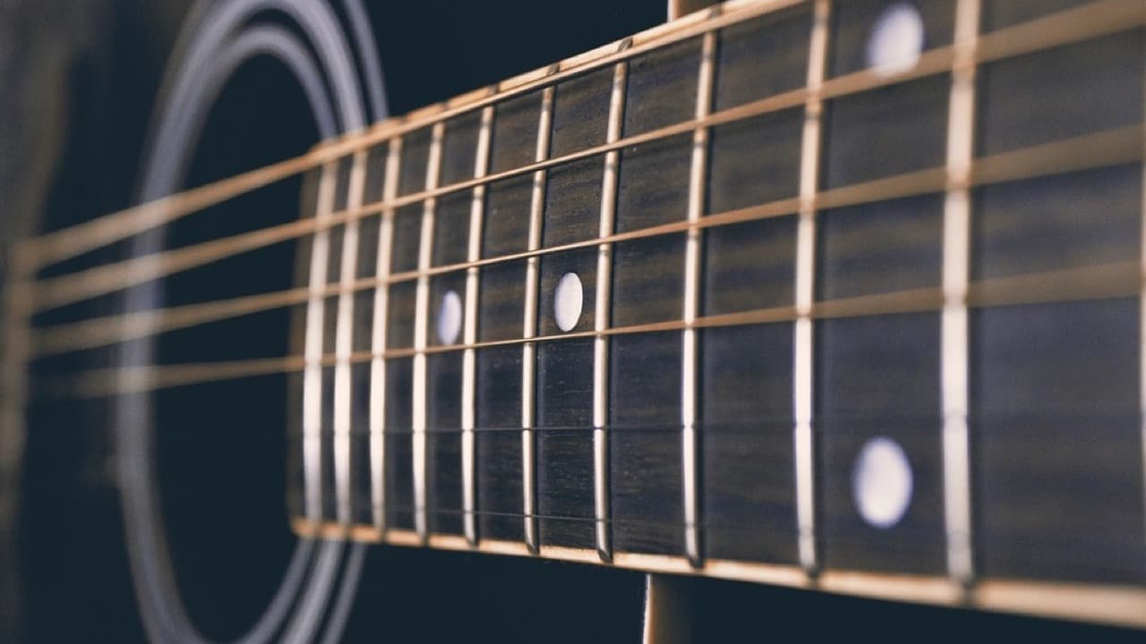 Imagem da notícia: Violas amarantinas animam o regresso da Noite dos Diabos