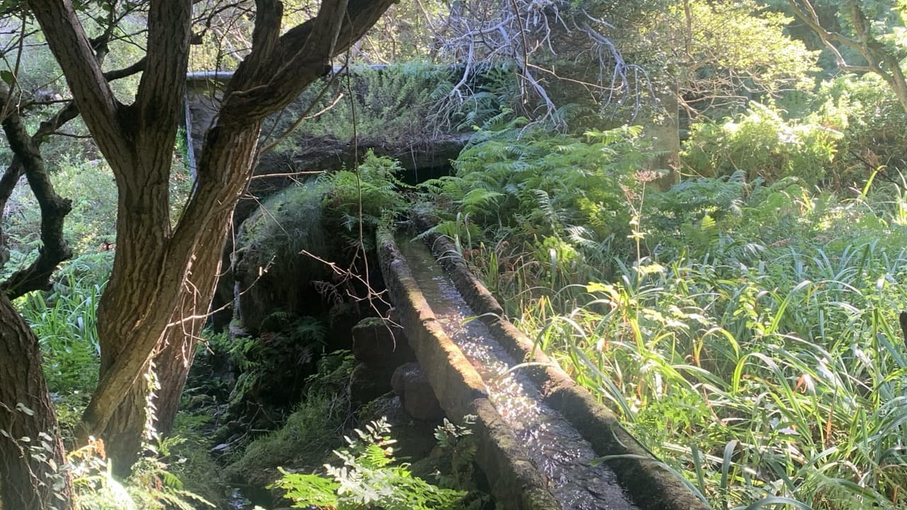 Imagem da notícia: Jovens cabeceirenses participam em projetos de voluntariado ambiental