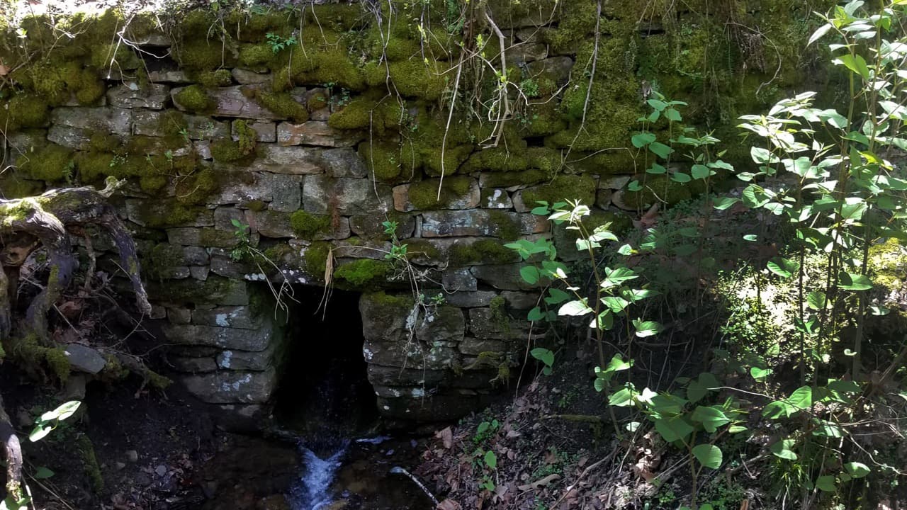 Imagem da notícia: Campanha arqueológica de verão escava necrópole da Idade do Ferro em Mértola