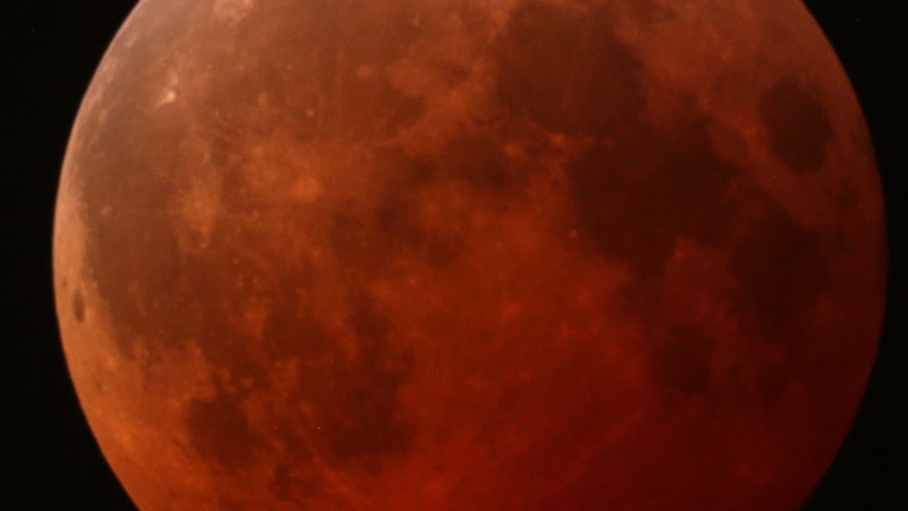 Imagem da notícia: Fotógrafo de Amor regista eclipse lunar parcial ao telescópio