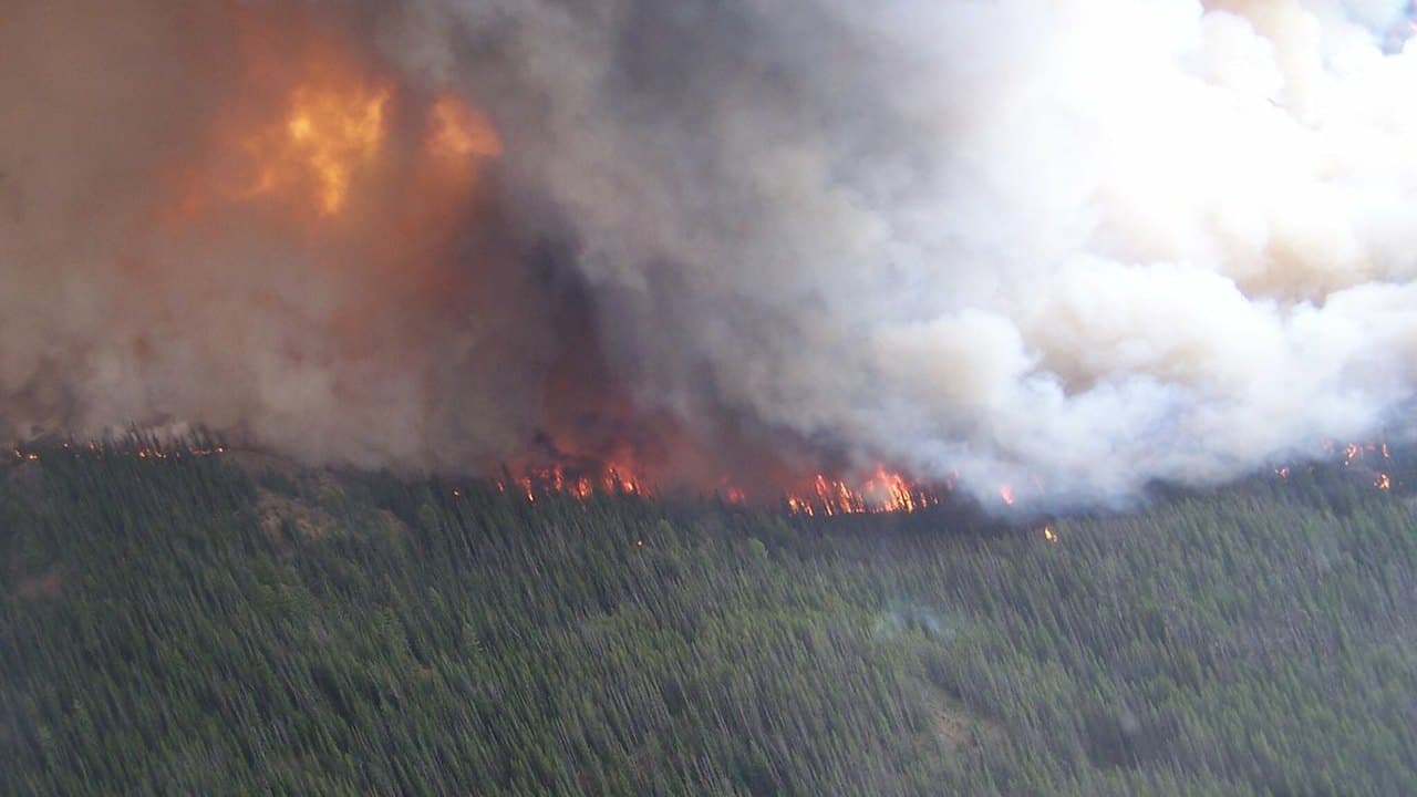 Imagem da notícia: Meios terrestres e aéreos dominaram incêndio em mato na Ribeira Brava