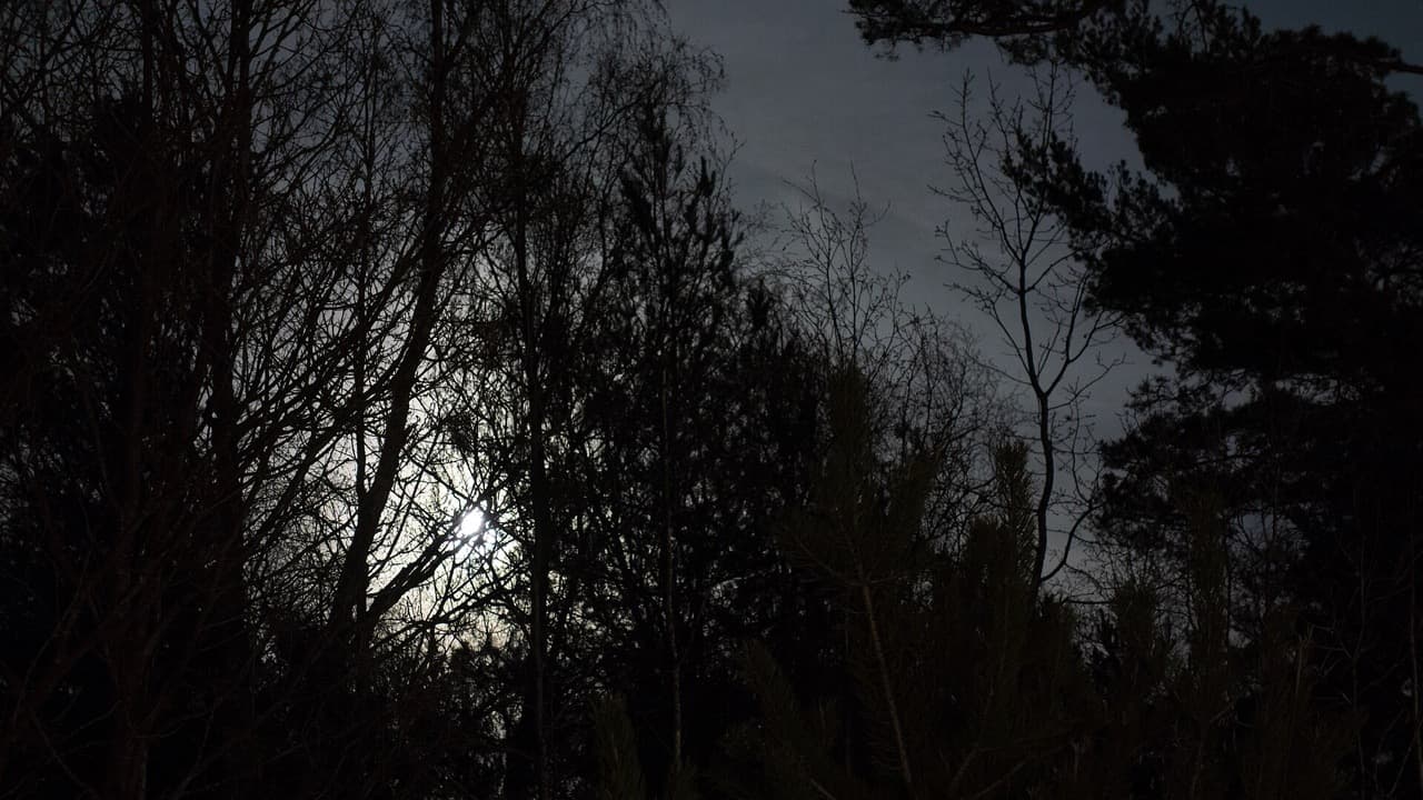 Imagem da notícia: Visitas noturnas MOONtosinhos passaram por São Mamede de Infesta e encerram a 28 de setembro
