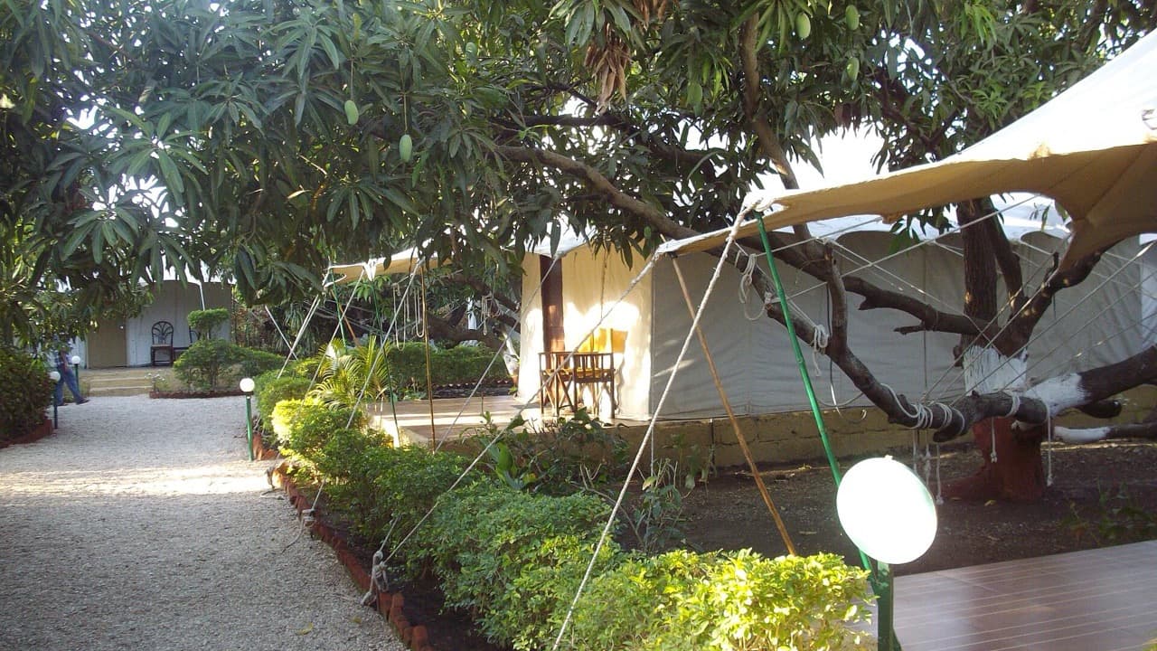 Imagem da notícia: Requalificação do Parque de Campismo de Portalegre adjudicada e pronta a avançar