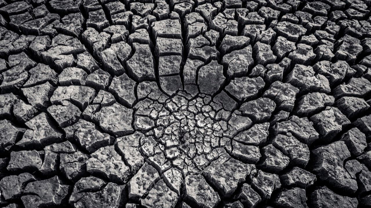 Imagem da notícia: Ministra do Ambiente abre a 34.ª PIMEL em Alcácer do Sal