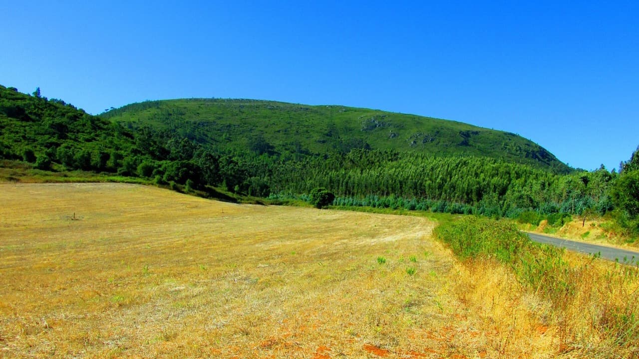 Imagem da notícia: Portalegre lidera o rendimento declarado no Alto Alentejo
