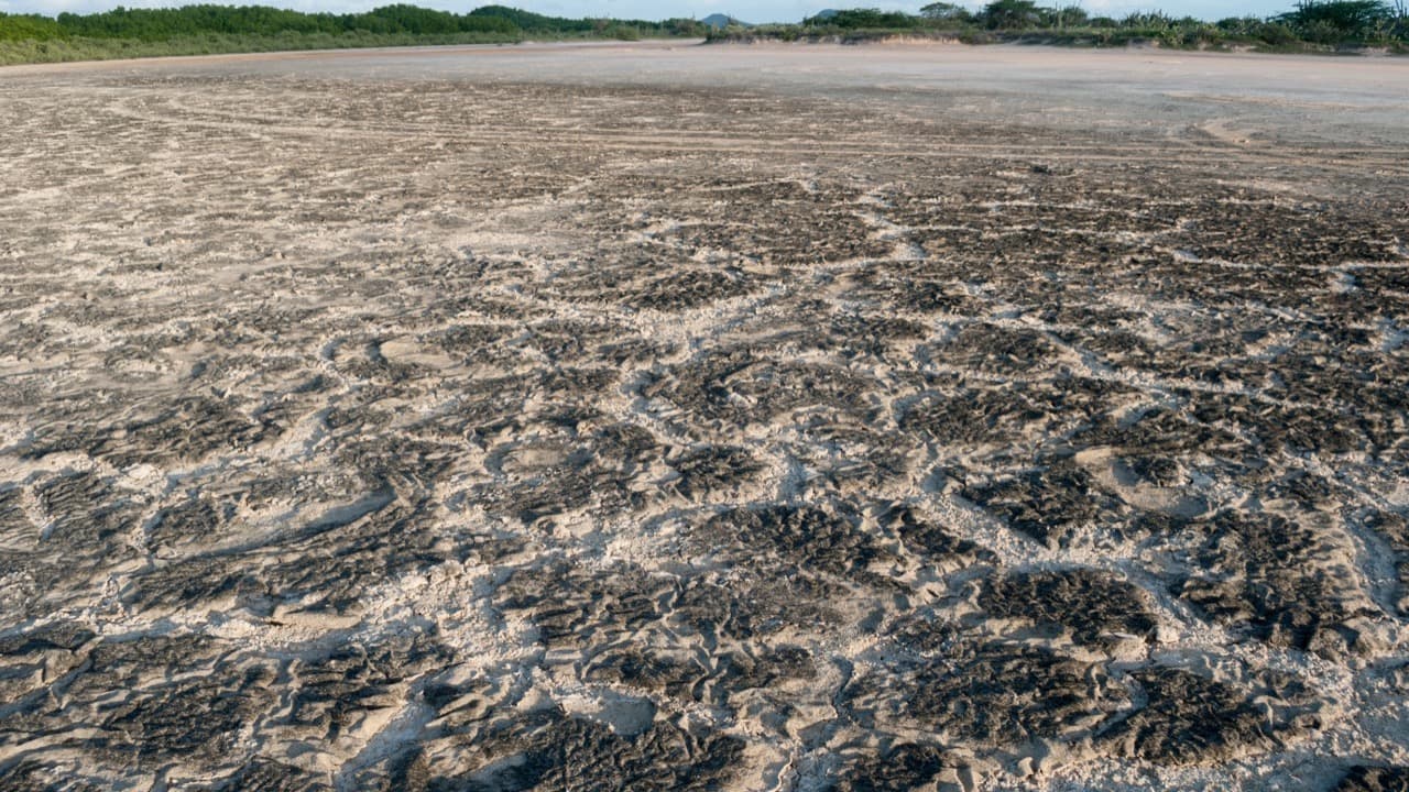 Imagem da notícia: Salinas de Rio Maior entre os finalistas regionais das 7 Maravilhas