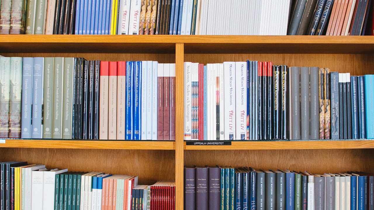 Imagem da notícia: Biblioteca da Sertã recebe menção honrosa no Prémio Maria José Moura