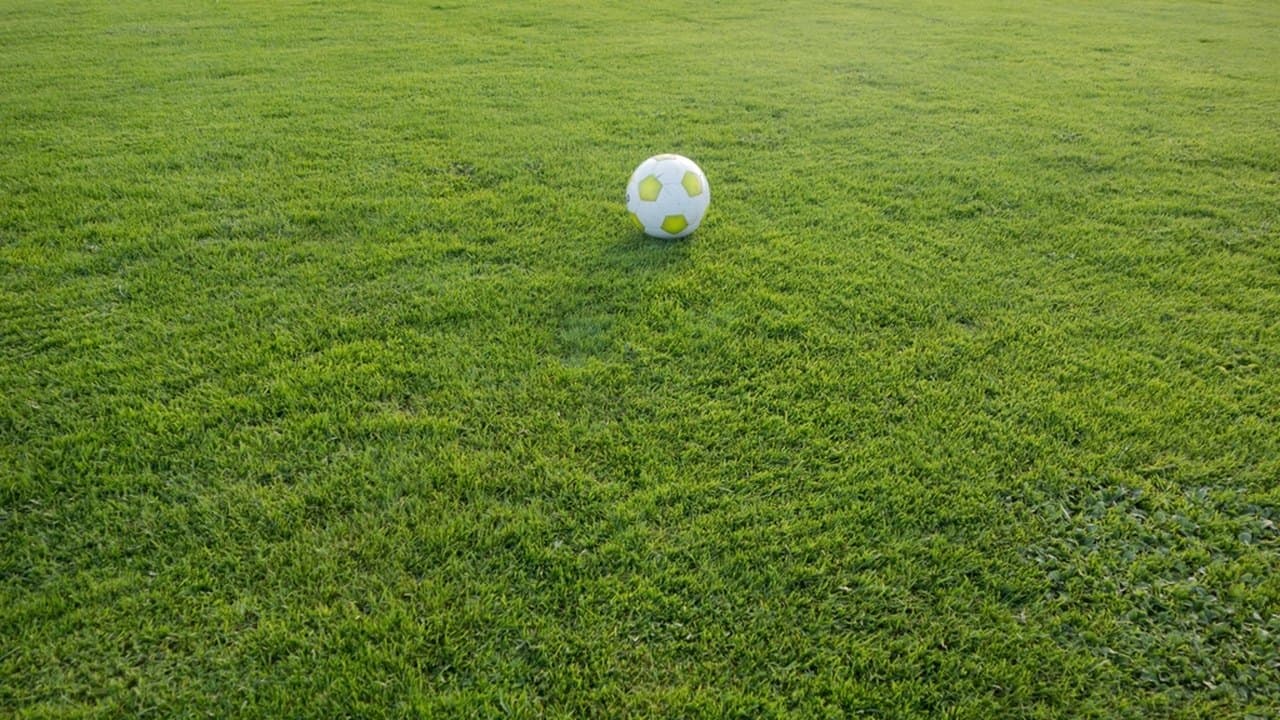 Imagem da notícia: Sporting da Covilhã arranca a Liga 3 com vitória sobre a União de Santarém