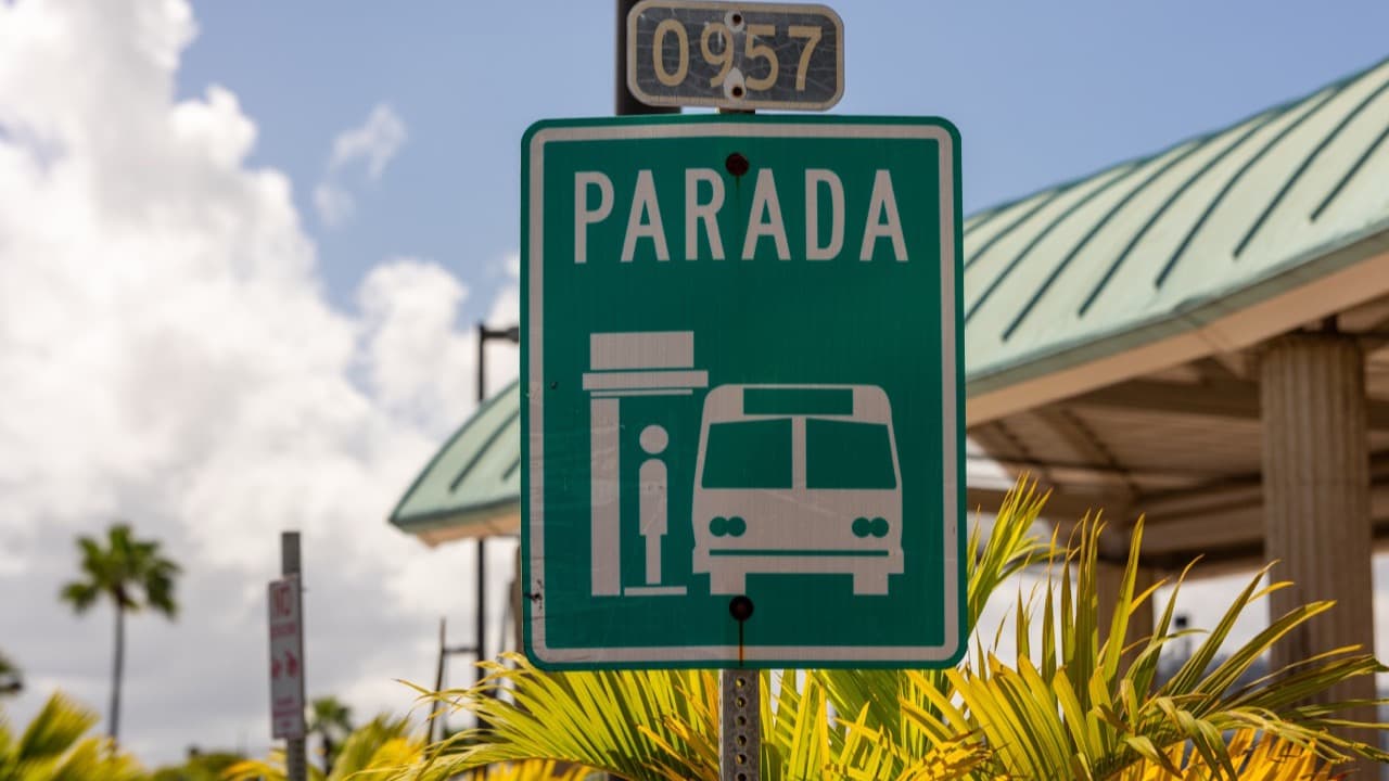 Imagem da notícia: Nova linha de transporte público liga a zona do Alvão a Vila Pouca de Aguiar