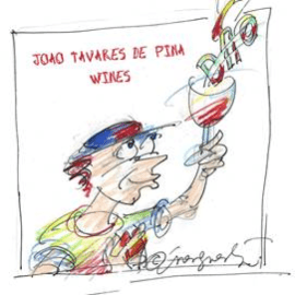 Logótipo de Quinta da Boavista – João Tavares de Pina Wines — Comércio em Penalva do Castelo