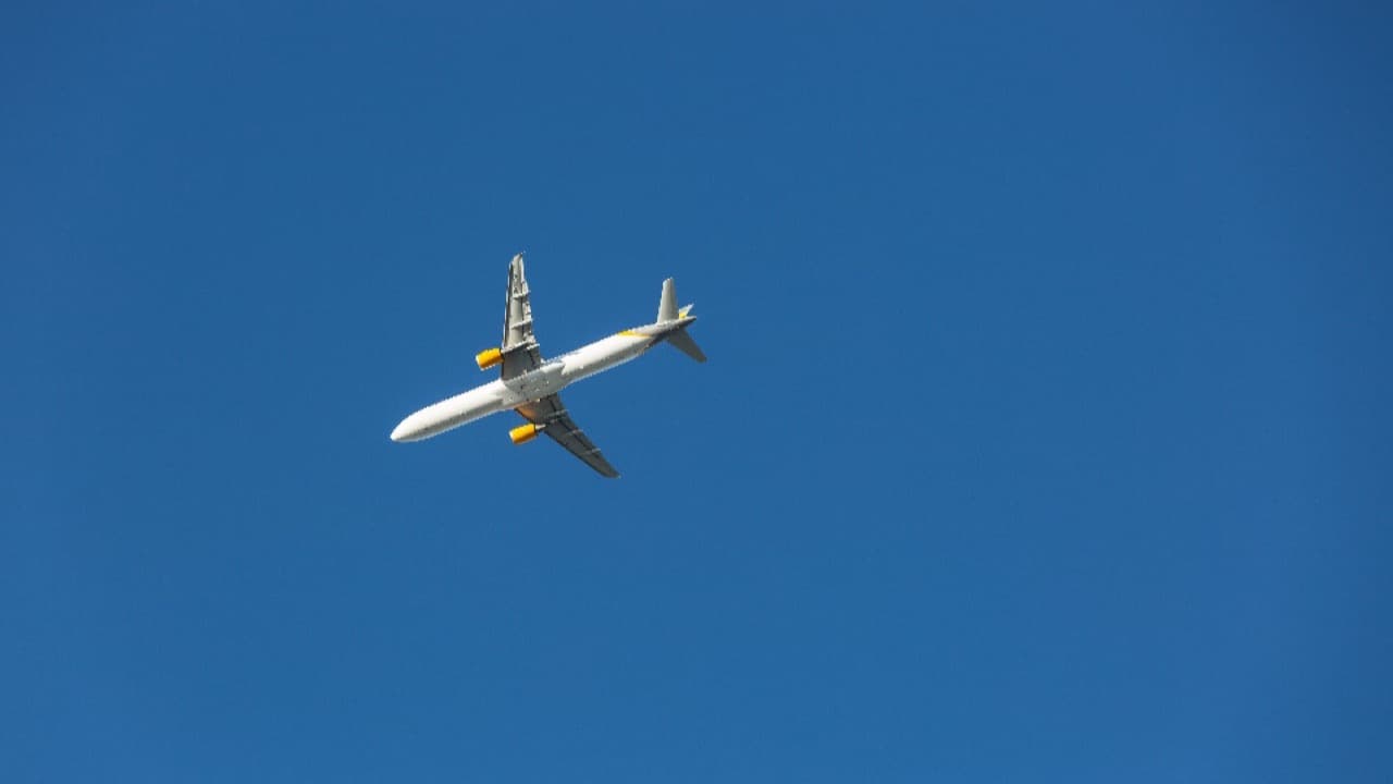Imagem da notícia: United Airlines vai ligar a ilha Terceira a Newark a partir do verão de 2027