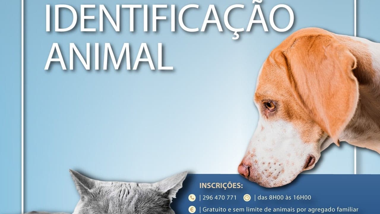 Imagem da notícia: Identificação animal: campanha gratuita em 2026