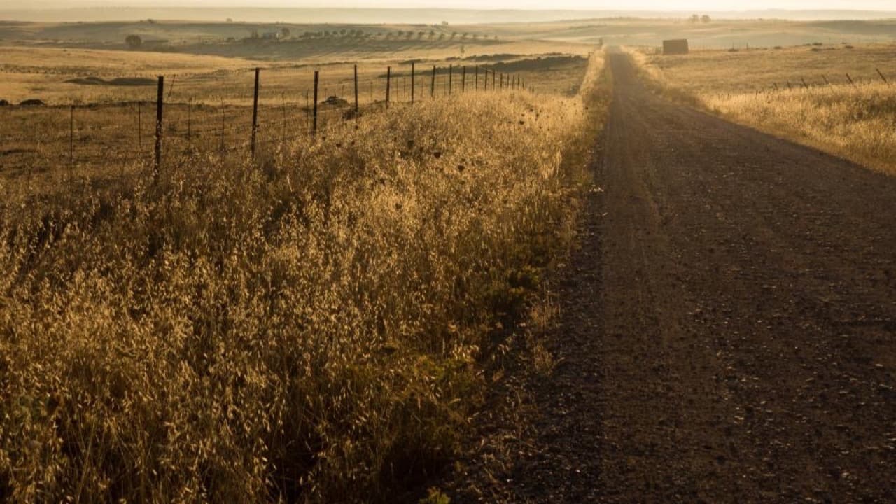 Imagem da notícia: Município de Santana limpa e regulariza caminhos agroflorestais