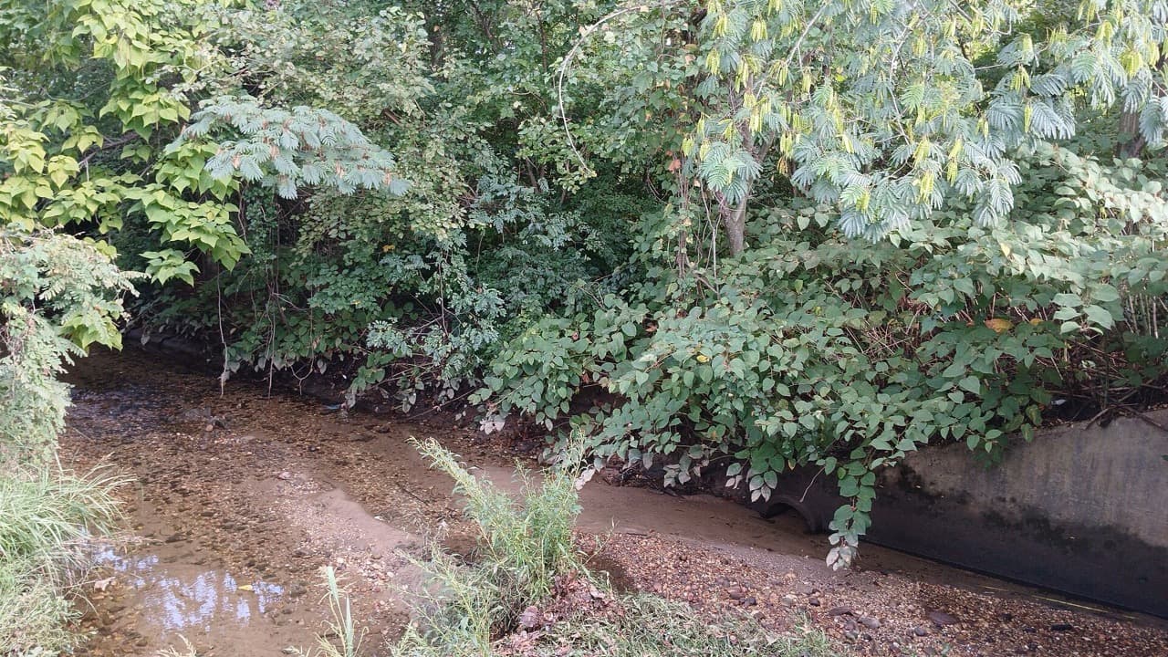 Imagem da notícia: Câmara de Sousel inicia limpeza dos ribeiros para prevenir cheias