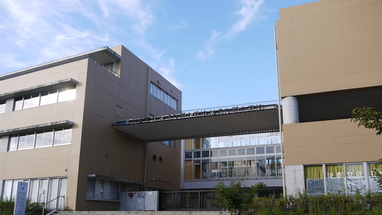 Imagem da notícia: Projeto de mobilidade pedonal acompanhada nas escolas