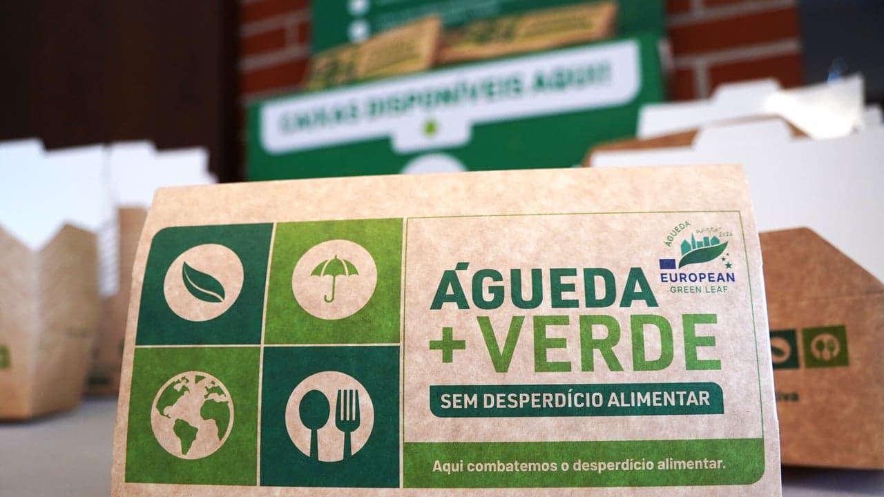 Imagem da notícia: Projeto contra desperdício alimentar recolhe duas toneladas em Águeda