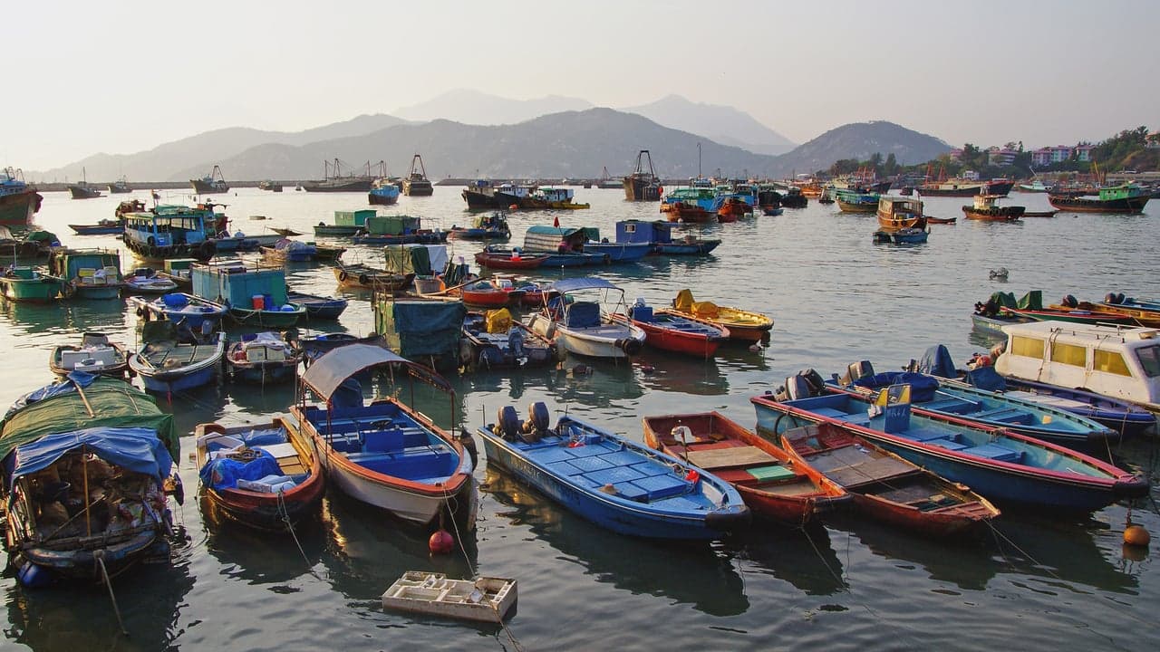 Imagem da notícia: Festas do Pescador regressam às origens com três dias de tradição