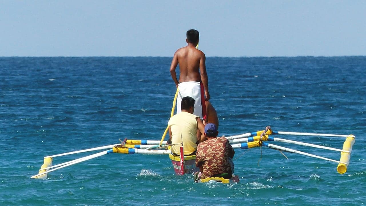 Imagem da notícia: Festas do Pescador regressam com tradição e memória