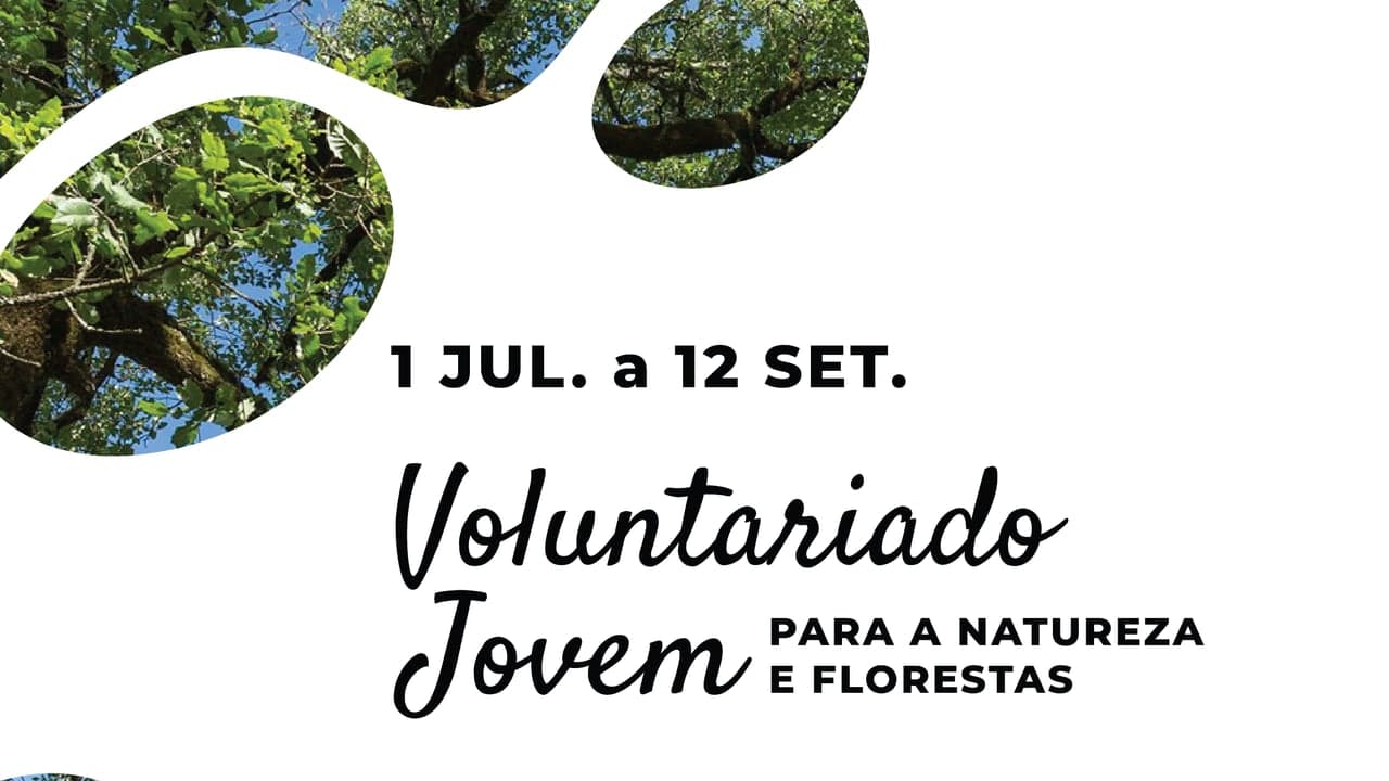 Imagem da notícia: Programa de voluntariado ambiental para jovens