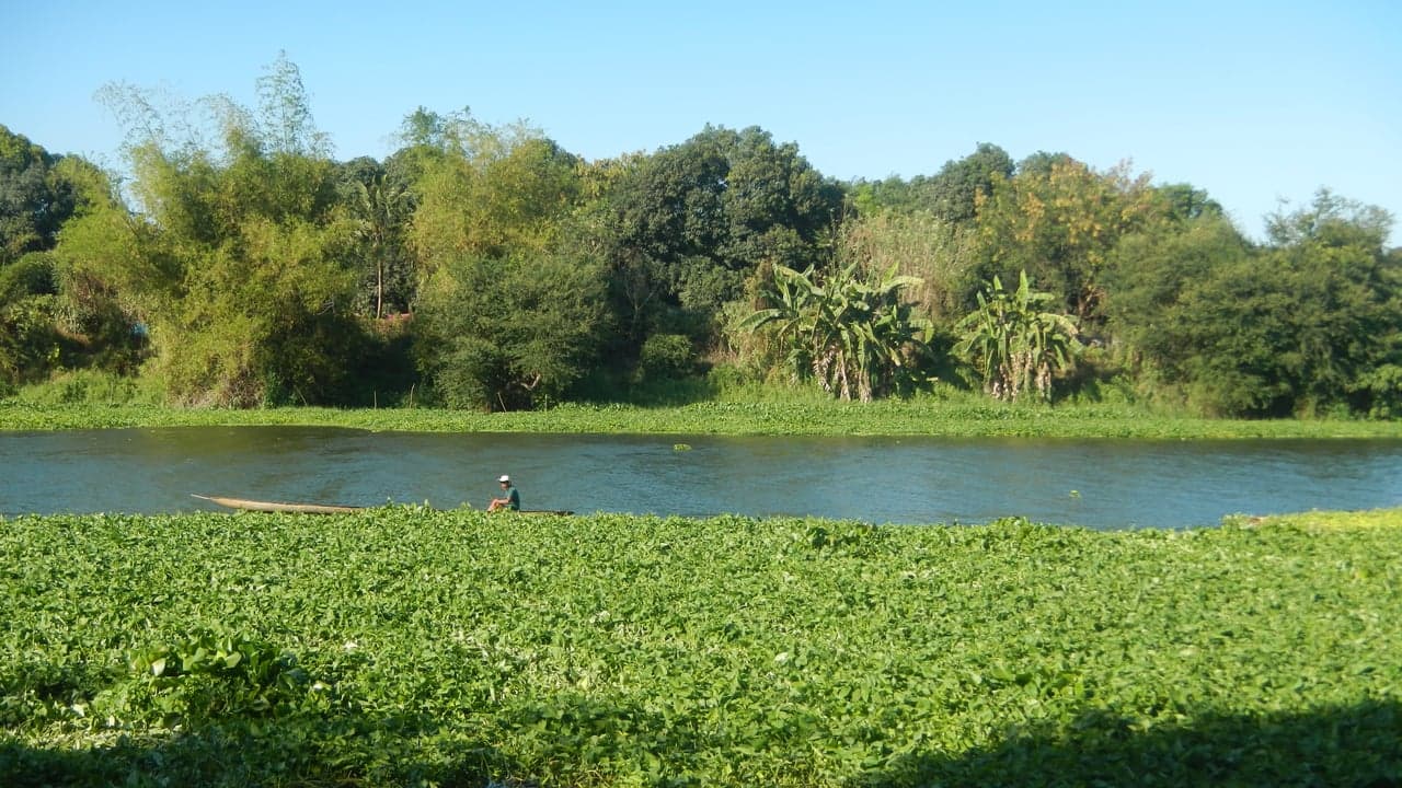 Imagem da notícia: Nova via do Vale do Neiva integrada no Plano de Recuperação