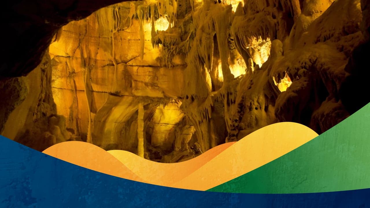Imagem da notícia: MCCB e Grutas da Moeda juntam-se numa oferta educativa