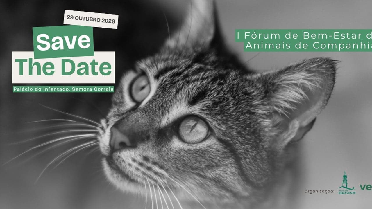 Imagem da notícia: Benavente recebe primeiro fórum sobre bem-estar animal