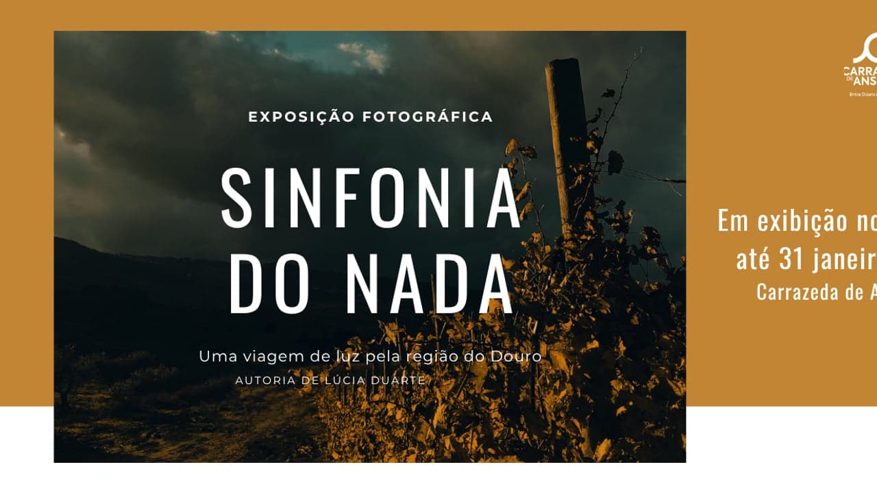 Imagem da notícia: Lúcia Duarte expõe fotografias sobre o Douro no CITICA