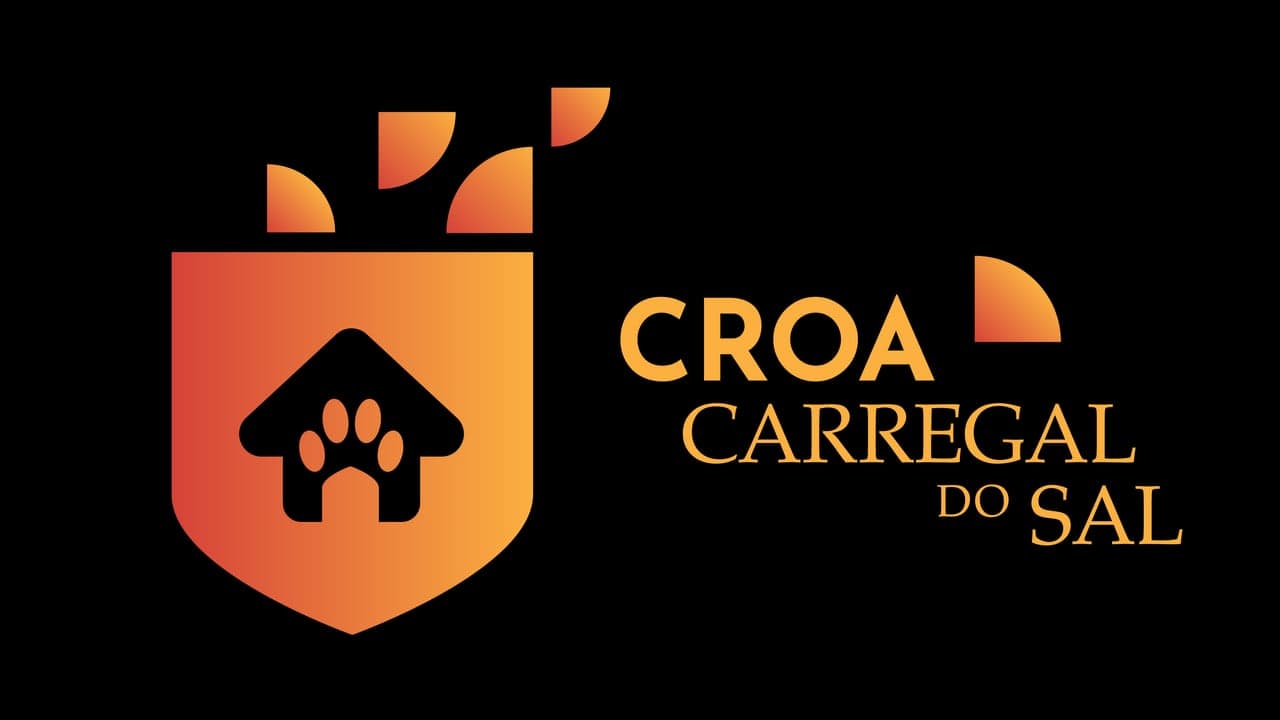 Imagem da notícia: Centro de recolha de animais vai servir dois concelhos