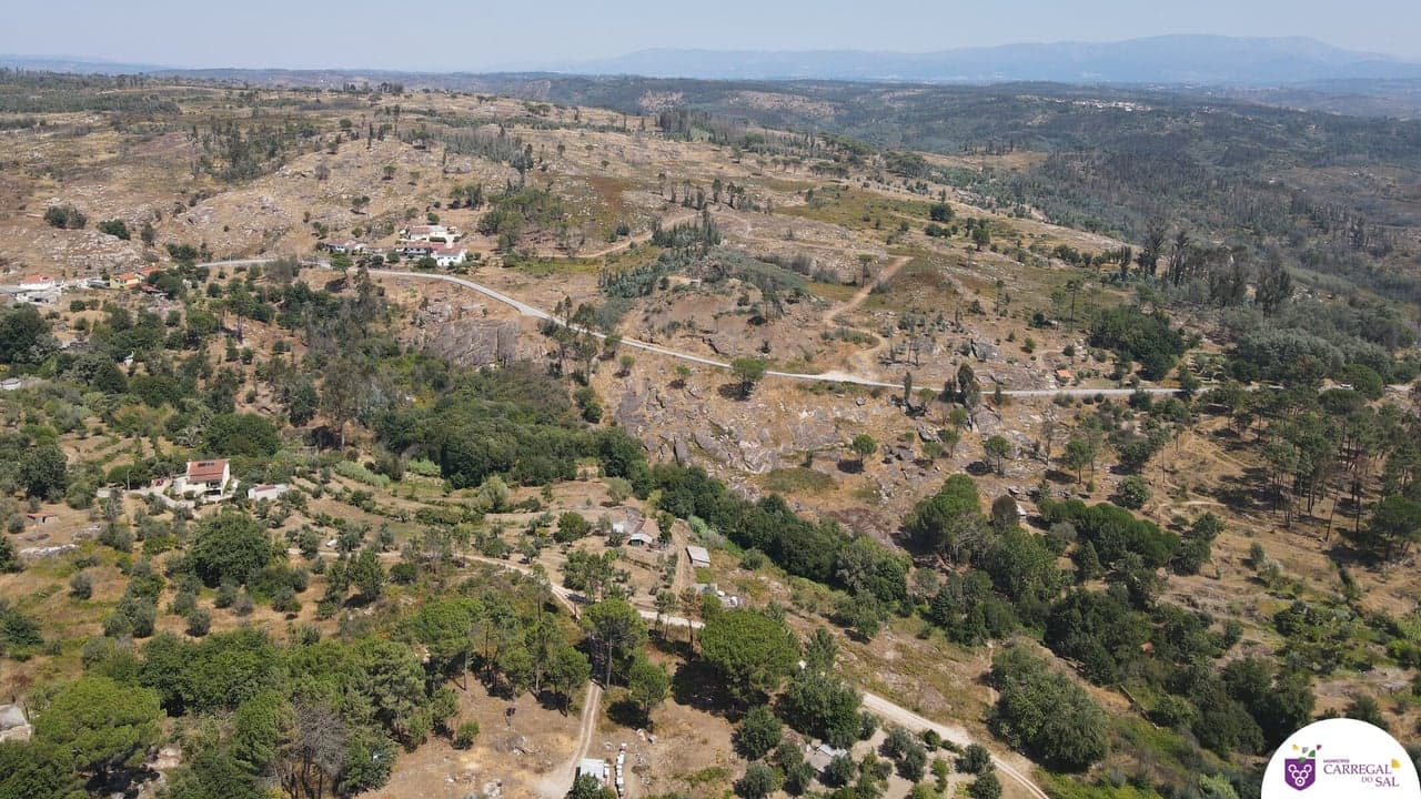 Imagem da notícia: Gestão da paisagem em Carregal do Sal avança no terreno