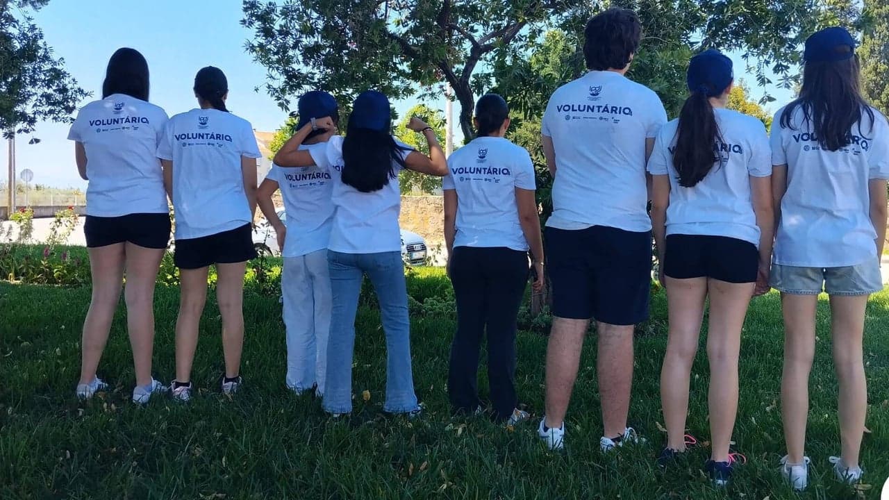 Imagem da notícia: Trinta jovens participam em programas de voluntariado ambiental