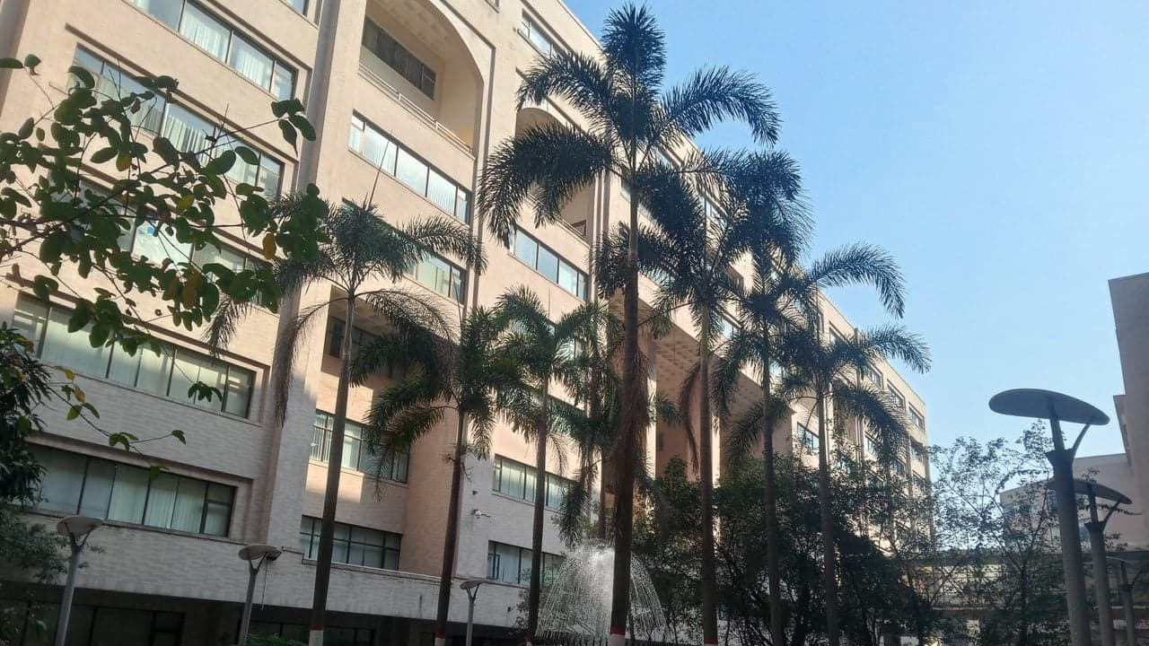 Imagem da notícia: Bolsas de estudo para o ensino superior estão abertas