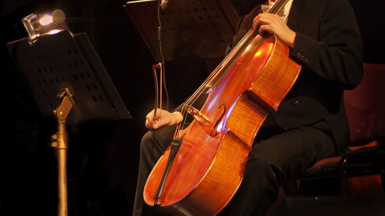 Imagem da notícia: Filarmónicas ferreirenses em concerto em Lisboa