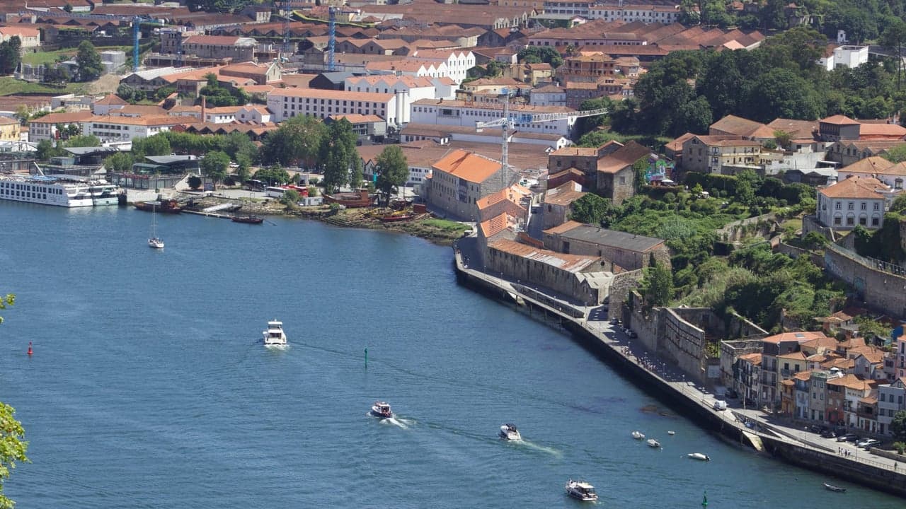 Imagem da notícia: Câmara proporciona viagem de barco pelo Douro a seniores