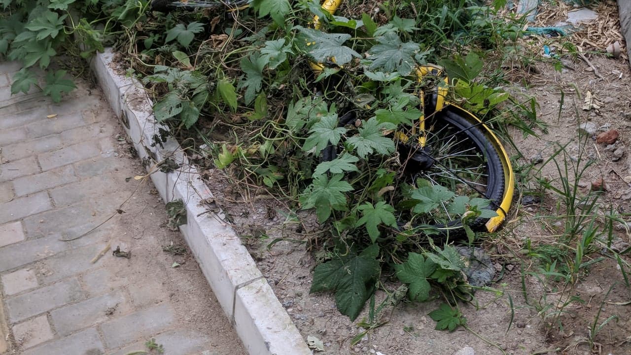Imagem da notícia: Condicionamento de trânsito para triátlo na Costa Nova