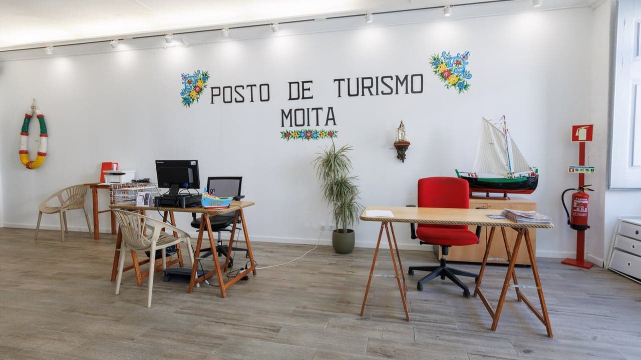 Imagem da notícia: Moita celebra Dia do Turismo com experiência multissensorial