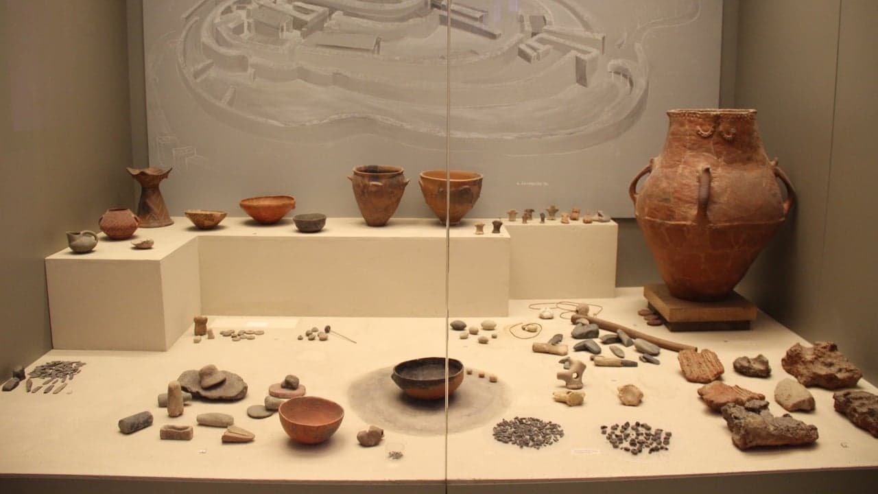Imagem da notícia: Museu Casa Mora convida crianças para oficina de arqueologia