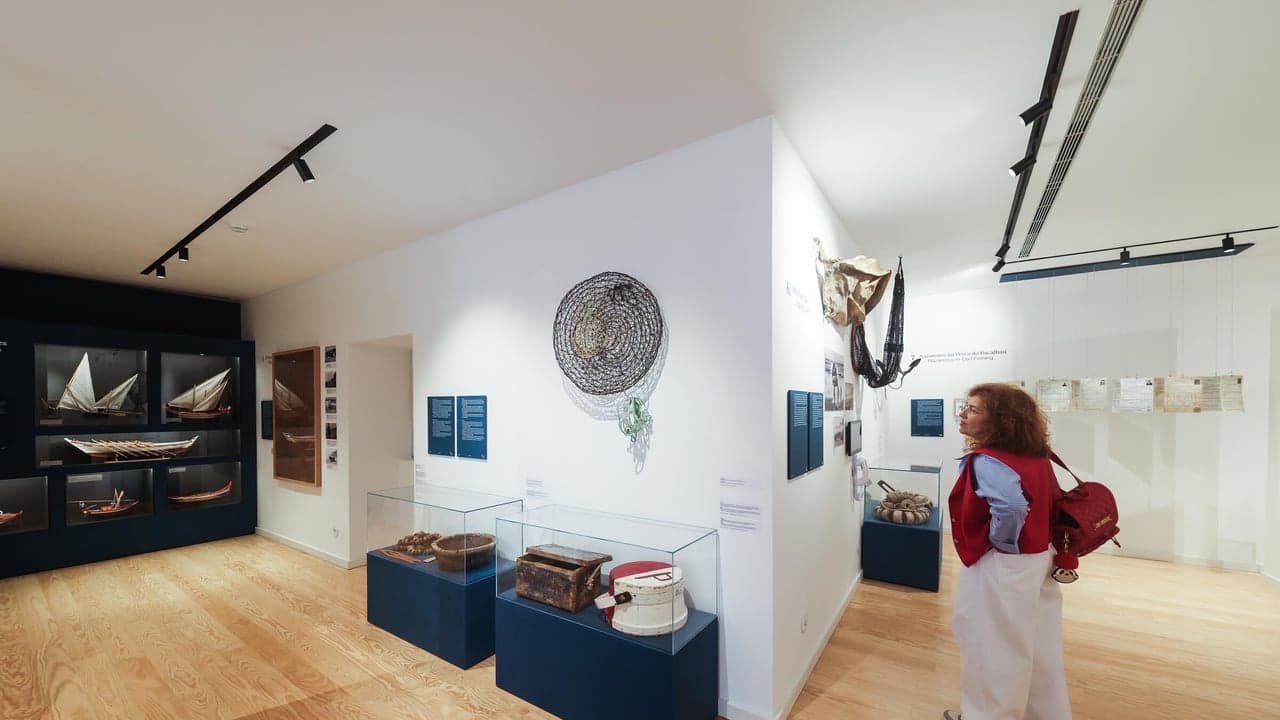 Imagem da notícia: Visita guiada ao Museu Dr. Joaquim Manso nas Jornadas Europeias