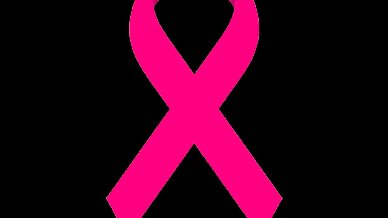 Imagem da notícia: Sessão sobre prevenção do cancro abre Outubro Rosa em Aveiro