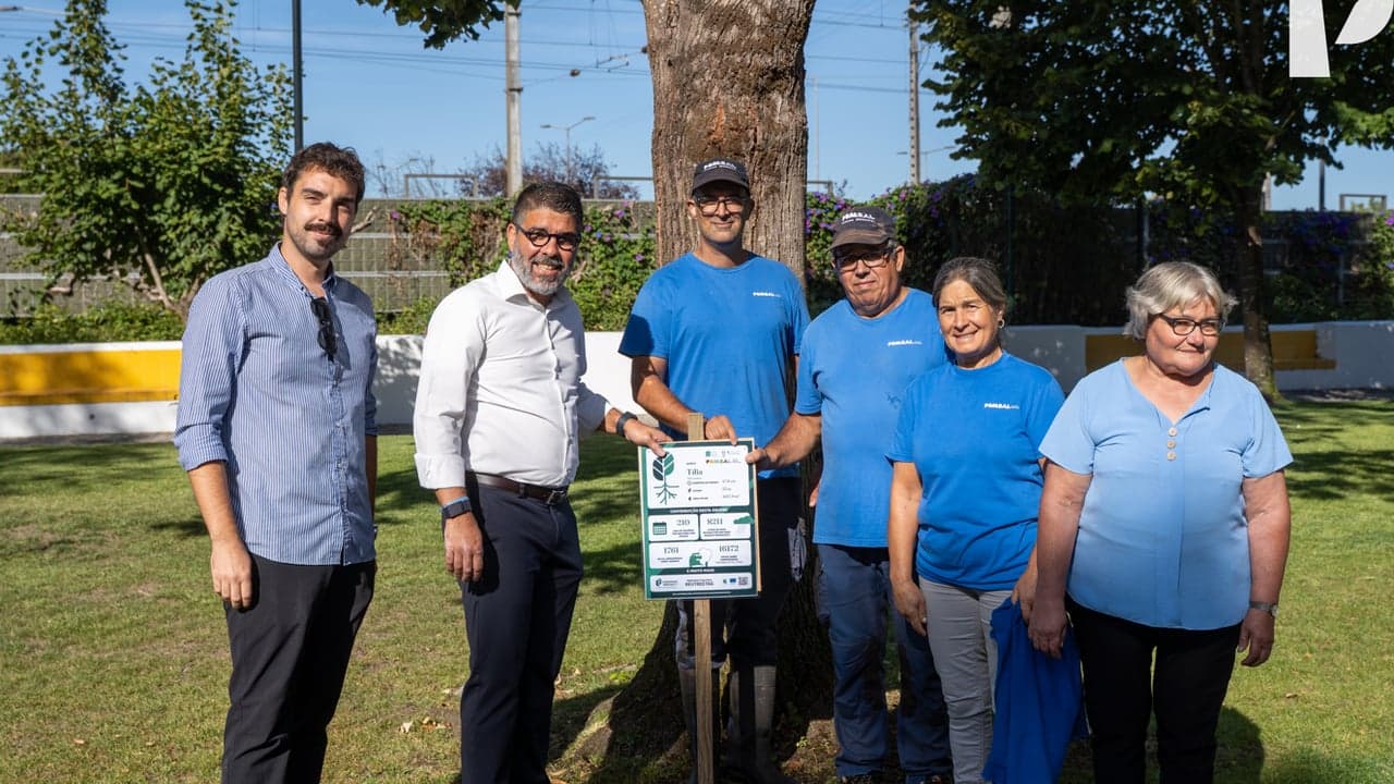 Imagem da notícia: Pombal junta-se à campanha europeia TreeTag para valorizar árvores
