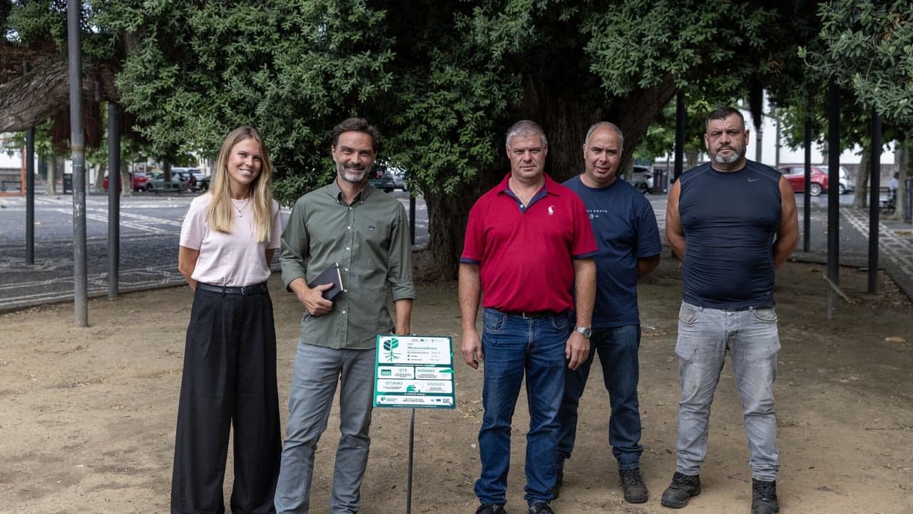 Imagem da notícia: Metrosídero do Campo de São Francisco entra em campanha europeia