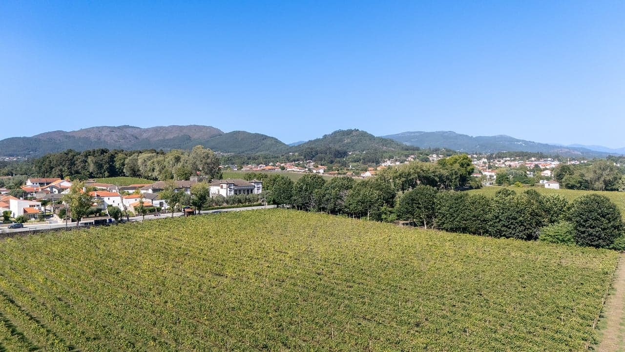 Imagem da notícia: Candidatura conjunta a Cidade do Vinho 2027