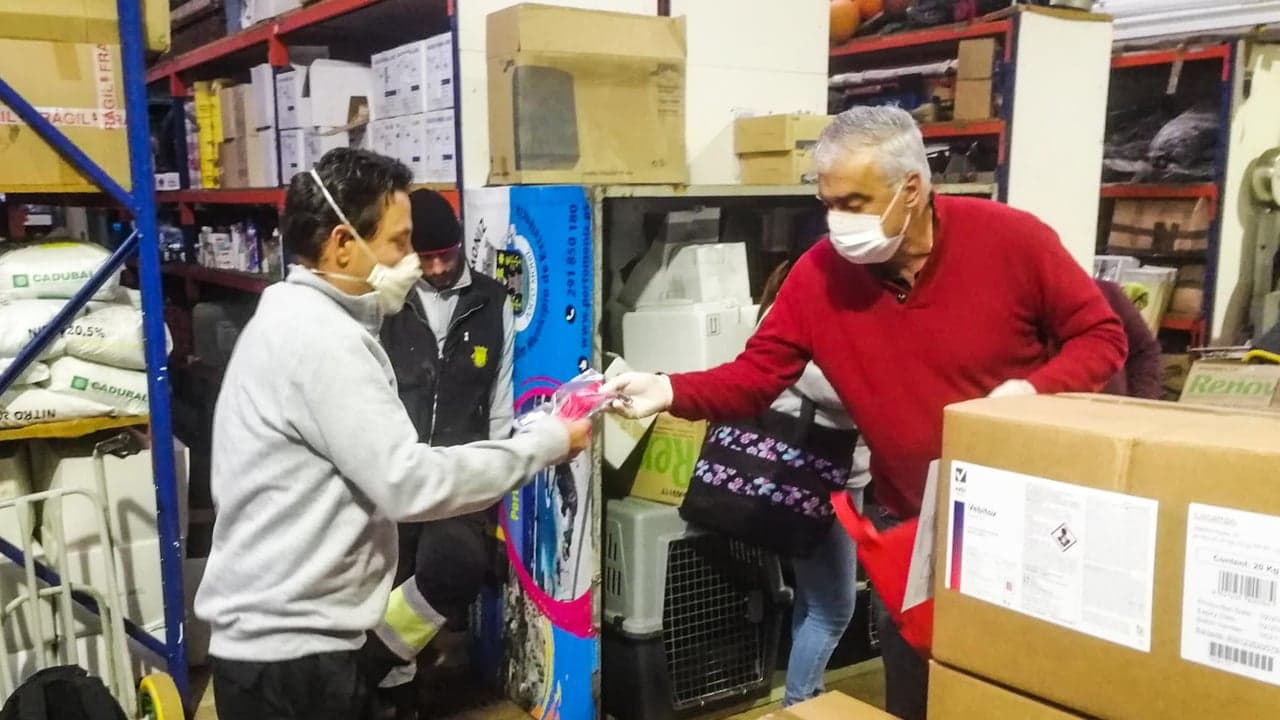 Imagem da notícia: Porto Moniz distribui máscaras a funcionários municipais