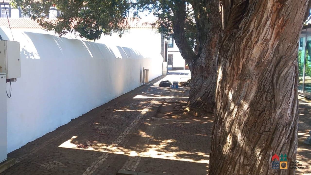 Imagem da notícia: Câmara pinta e recupera espaços junto às praças centrais