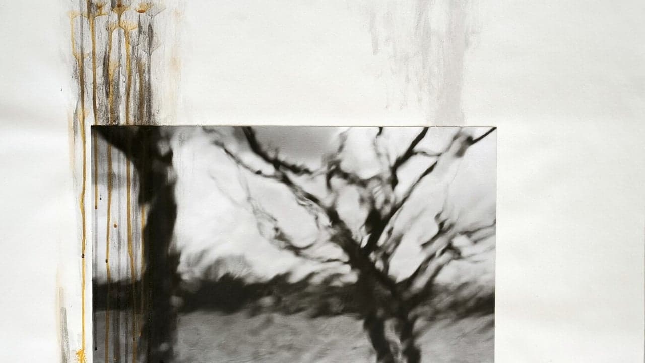 Imagem da notícia: Arte e inteligência artificial em exposição no Centro Alberto Carneiro